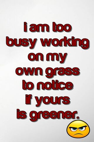 Focus on Your Own Path 🌱