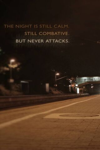Calm Yet Combative: The..
