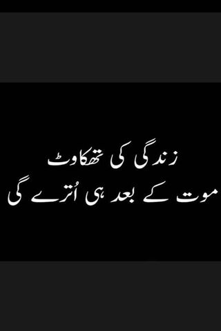 Life's Reflection: Embracing Mortality