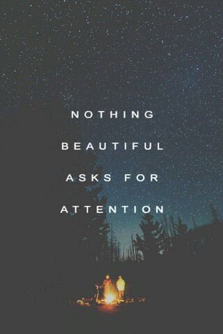 Silent Beauty Under the Stars ✨