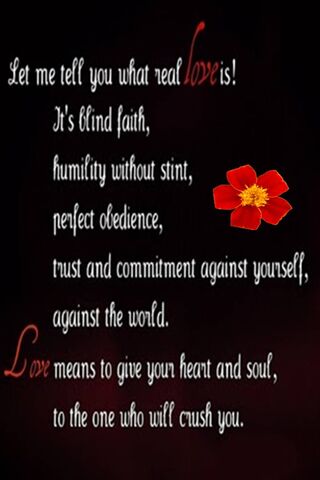 The Essence of True Love ❤️