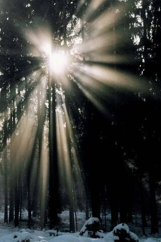 Sự thanh thản rạng rỡ: Cái ôm của thiên nhiên 🌍✨