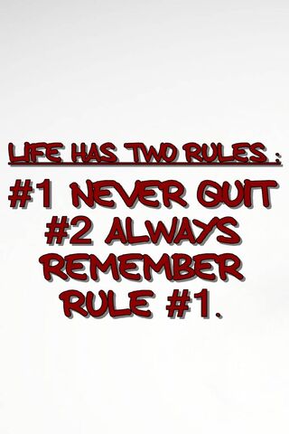 The Rules of Resilience 🌟