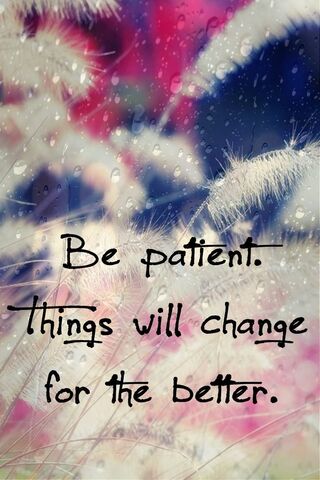 Embrace the Journey 🌼✨