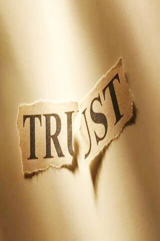 The Fragile Bond of Trust 🤝✨