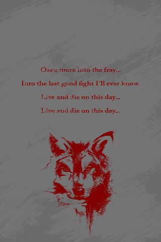 The Grey - Wolf