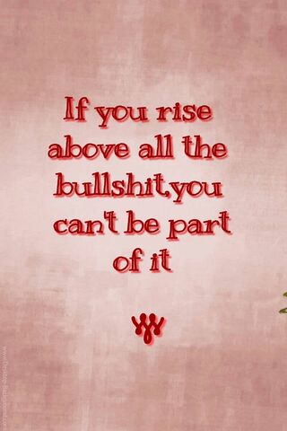 Elevate Beyond the Noise