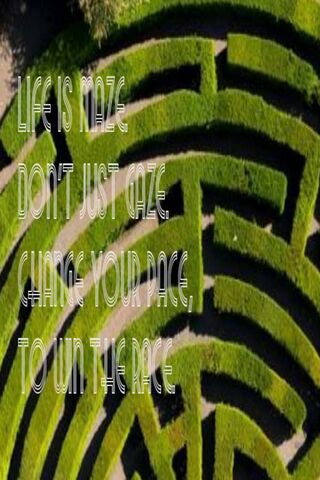 Life Is Maze