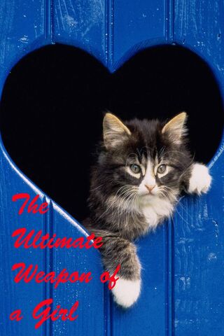 Feline Fury: The Secret Weapon of Charm