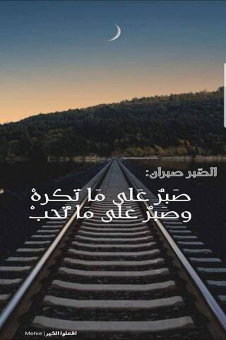 The Journey of Patience 🌅🚂