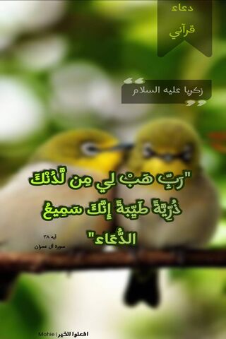 A Prayer for Peace: The Essence of Doaa Zakaria