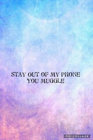 Muggle-Free Zone 🚫📱