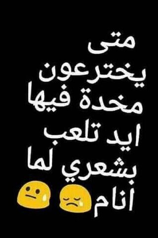 Pillow Talk: The Quest for Comfort