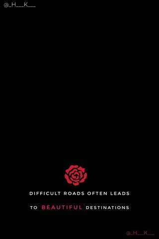 The Beauty of the Journey 🌹