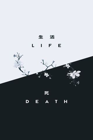 Death Life