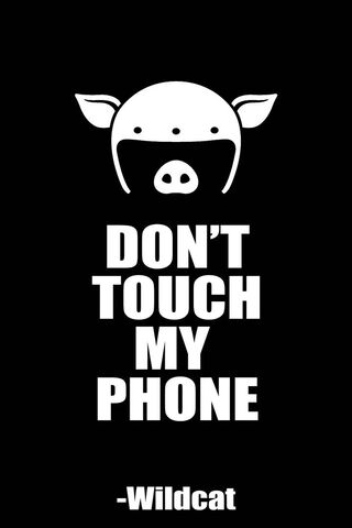 Guardians of My Space: Wildcat Edition 🐾📱