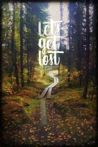Wander into the Unknown 🌲✨