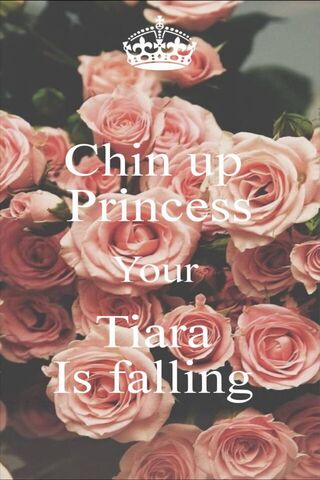 Princess Quote