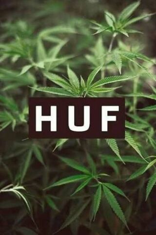 Huf Leaves: Nature's Green Canvas 🍃