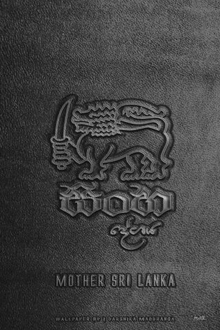 Emblem of Strength: The Black Lion of Sri Lanka 🦁