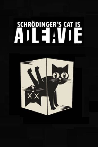 The Curious Case of Schrödinger's Cat 🐾✨