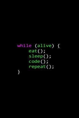 The Programmer's Life C..