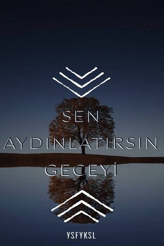 Illuminate the Night: A Reflection of Beauty