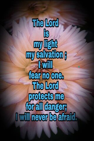 Embrace the Light: Fear Not 🌟