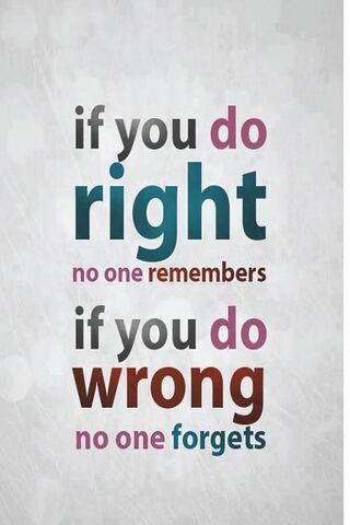 The Weight of Choices: ..