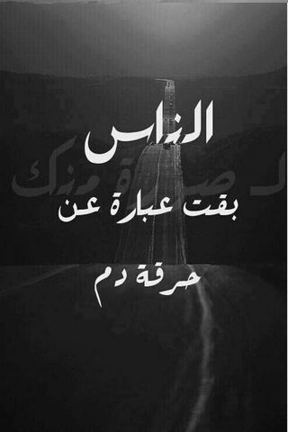 Whispers of the Road