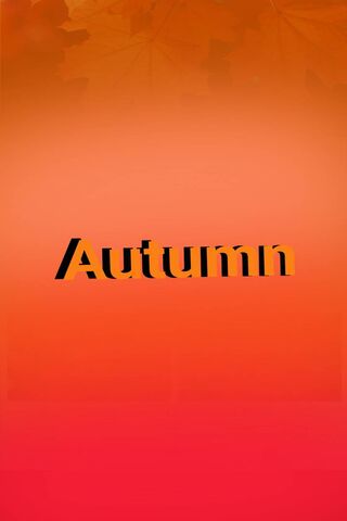 Autumn Vibes 🍂✨