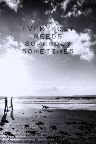 Somebody