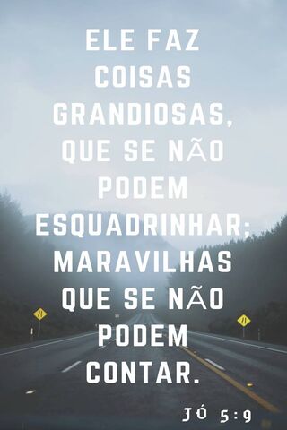 The Wonders He Does 🌟