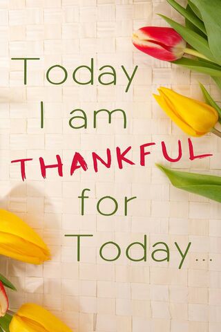 Grateful Moments 🌷✨