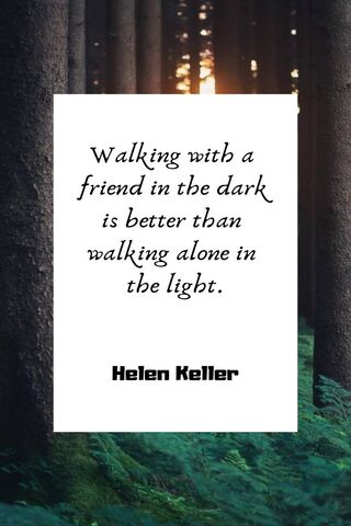 Together in the Shadows 🌲✨