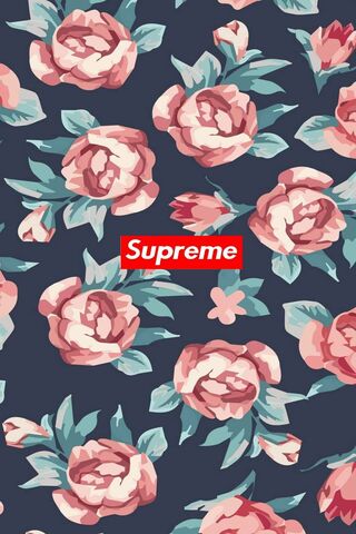 Blooming Elegance: The ..