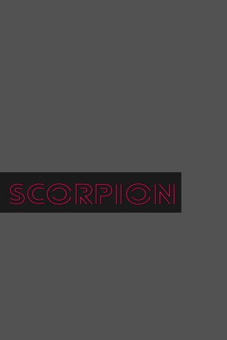 Scorpion: The Sting of Style 🦂✨