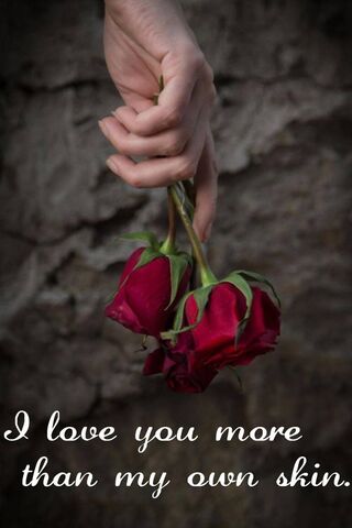 Love Beyond Measure ❤️🌹