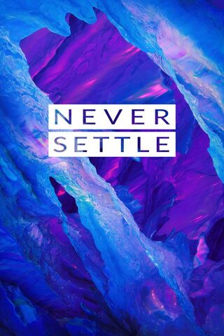 Never Settle