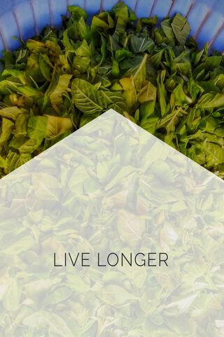 Live Longer
