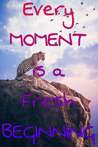 Embrace New Beginnings 🌅