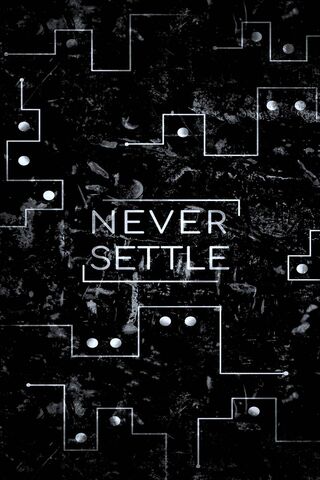 Never Settle Wallpaper Download To Your Mobile From Phoneky