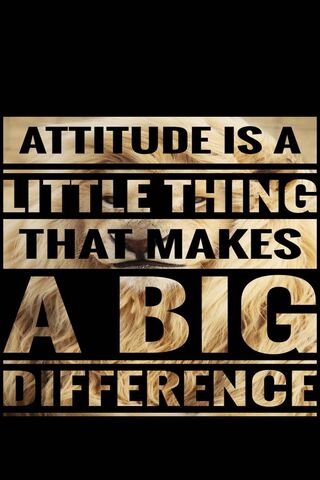 The Power of Attitude 🌟