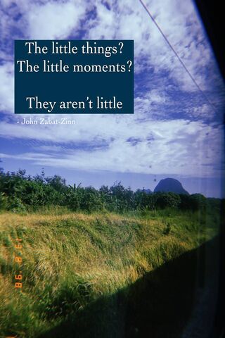 Embracing the Moments That Matter 🌿✨