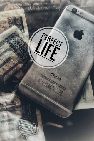 Chasing the Perfect Lif..