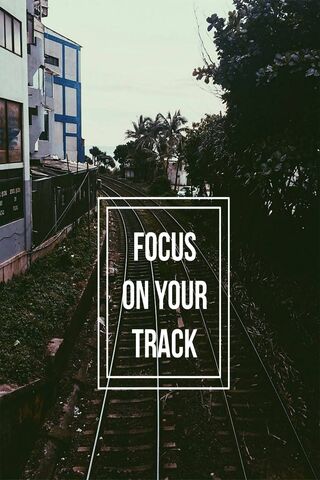 Stay on Track to Your D..