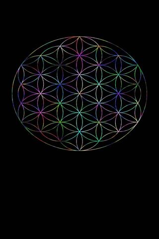 Cosmic Harmony: The Flower of Life 🌸✨