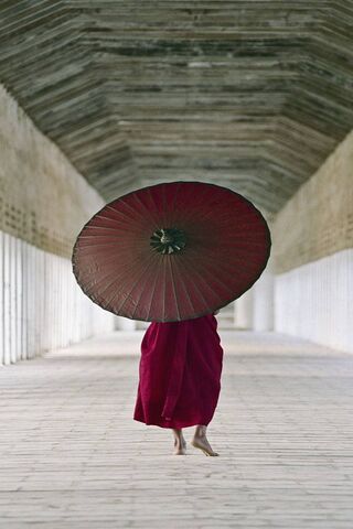 Serenity in Red: A Monk's Journey