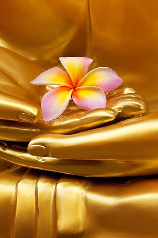 Serenity in Bloom 🌸✨