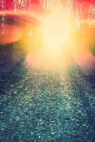 Journey to the Light